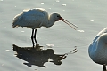 08 02 15_1425_edited-1
